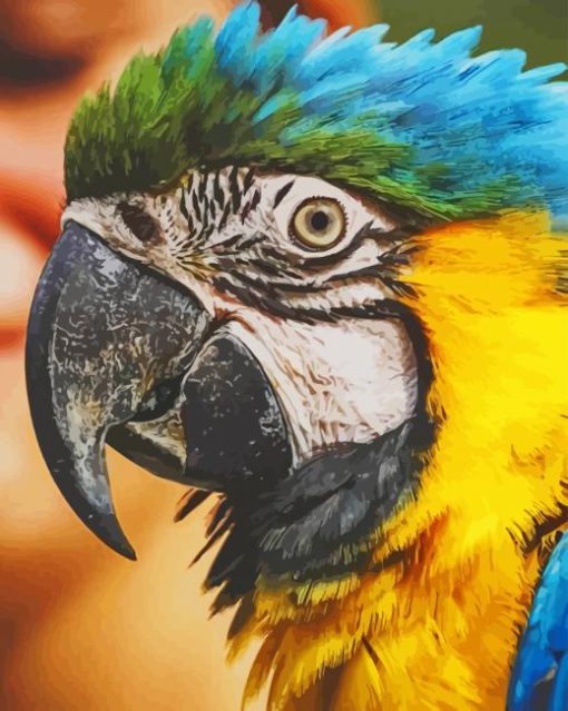 Blue and Yellow Macaw Face paint by numbers