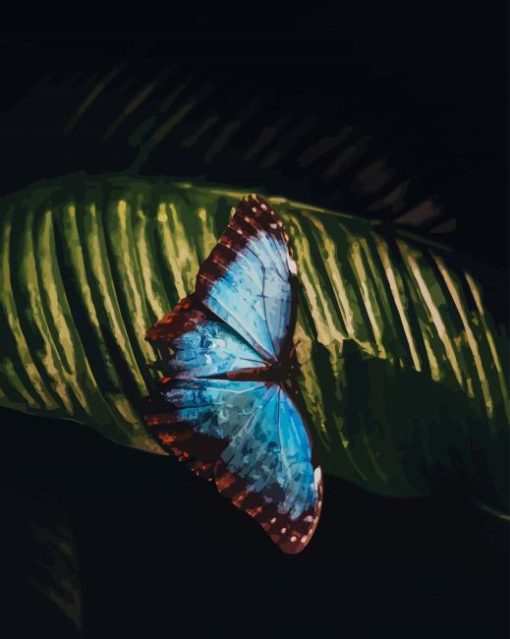 Blue Butterfly paint by numbers