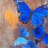 Blue Monarch Butterfly paint by numbers