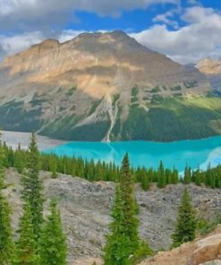 Bow Summit And Peyto Lake paint by number