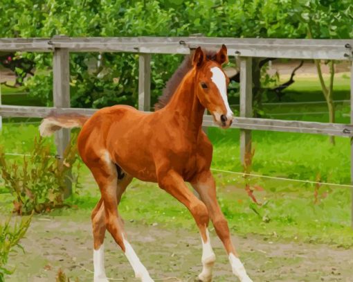 Brown Horse paint by numbers