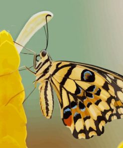 Butterfly On Yellow Flower paint by numbers