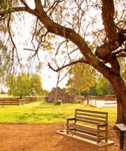 camden town farm