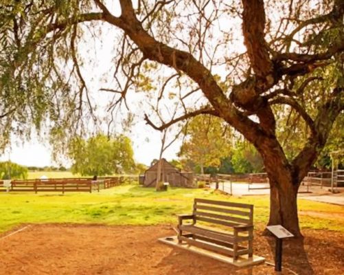 camden town farm