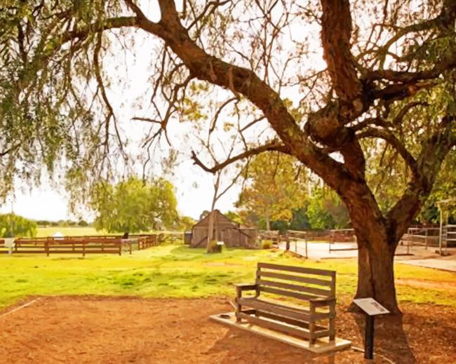 camden town farm