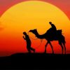 Camel sunset silhouette paint by numbers