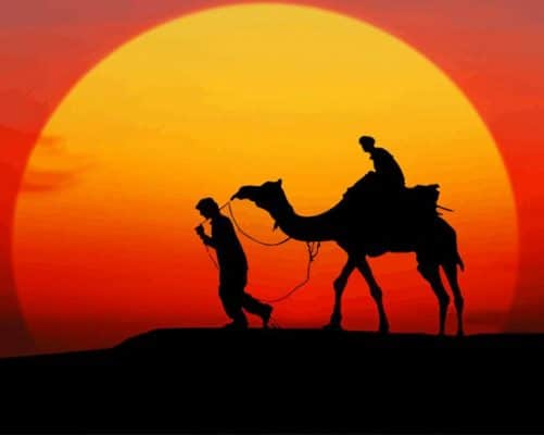 Camel sunset silhouette paint by numbers