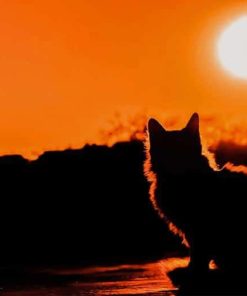 Cat an sunset paint by number