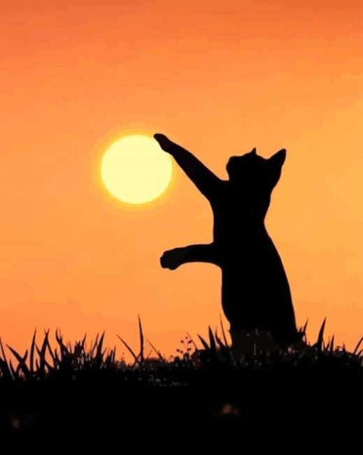 Cat Silhouette paint by numbers