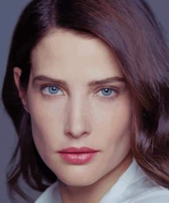 Cobie Smulders paint by numbers