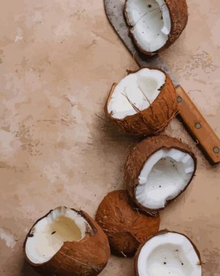 Coconut Photoshoot paint by numbers