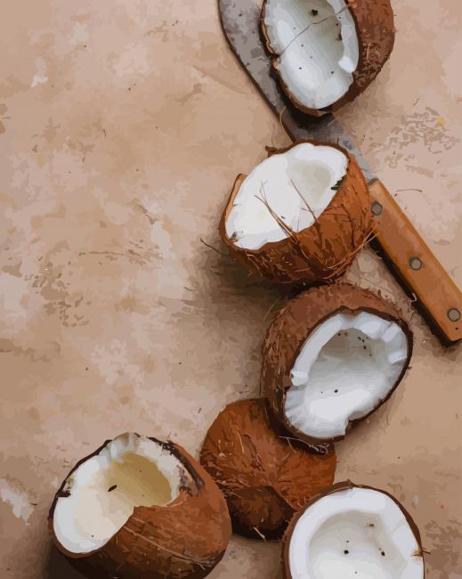 Coconut Photoshoot paint by numbers