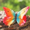 Colored Butterfly paint by numbers