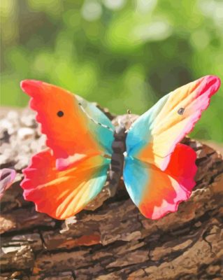 Colored Butterfly paint by numbers