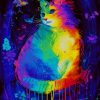 Colorful Mystical Cat paint by numbers