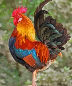 Colorful Rooster paint by numbers