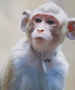 Cute baby monkey paint by numbres