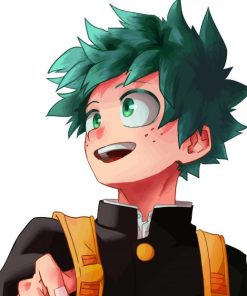 Deku My Hero Academia paint by numbers