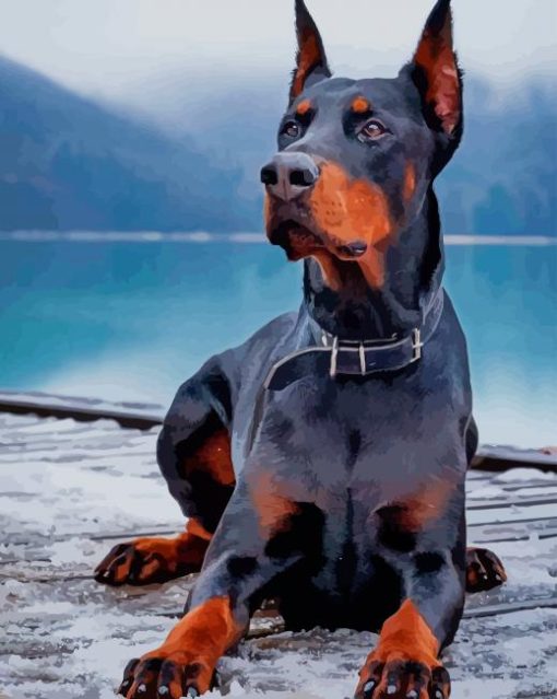 Doberman paint by number