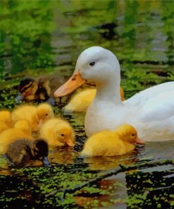 Duck And Baby Ducklings paint by numbers