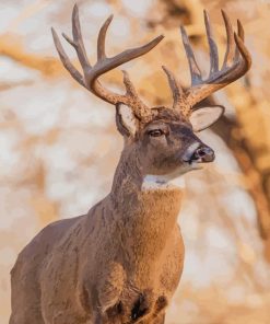 ELK Deer paint by numbers