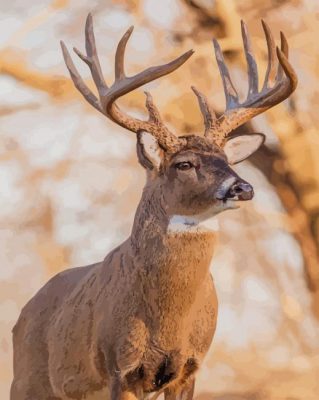 ELK Deer paint by numbers