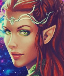 Elf Art paint by numbers