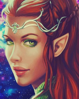 Elf Art paint by numbers