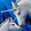 Fantasy Unicorns paint by numbers