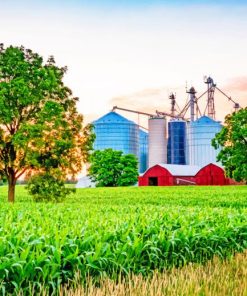 farm stock sunset painting by numbers