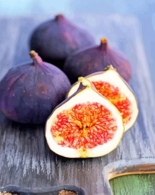 Figs Photography paint by numbers