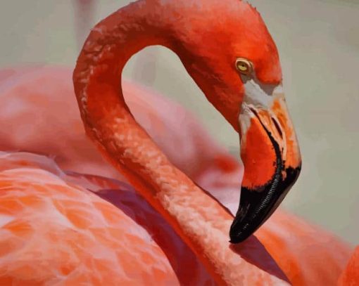 Flamingo Bird paint by numbers