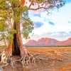 flinders ranges south australia painting by numbers