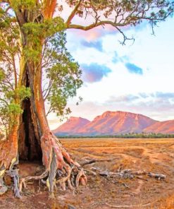 flinders ranges south australia painting by numbers