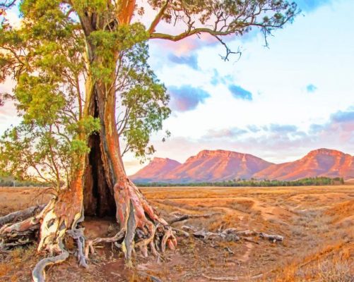 flinders ranges south australia painting by numbers