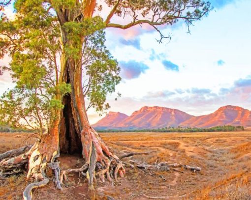 flinders ranges south australia painting by numbers