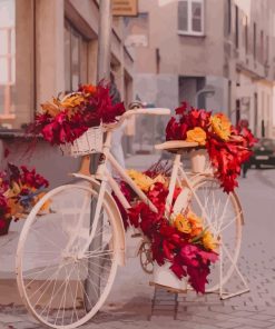 Floral Bicycle paint by number