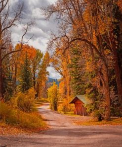 Forest In Autumn paint by number