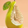 Fruit Illustration paint by numbers