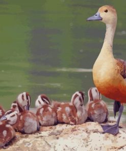 Fulvous Whistling Duck paint by numbers