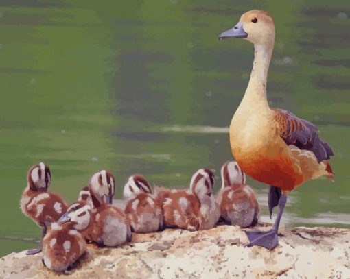 Fulvous Whistling Duck paint by numbers