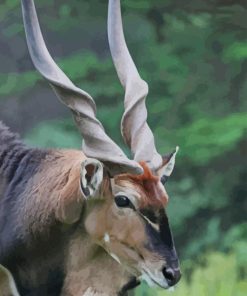 Giant Eland Animal paint by numbers