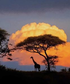 Giraffe silhouette sundown paint by numbers