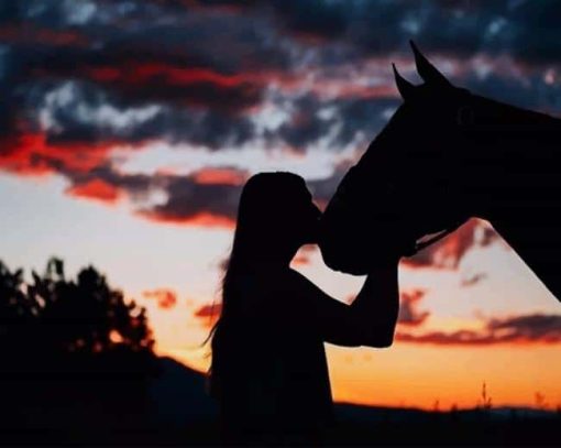 Girl And Horse Silhouette paint By numbers