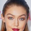 Gorgeous gigi hadid paint by numbers