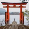 Hakone Shrine Japan paint by number