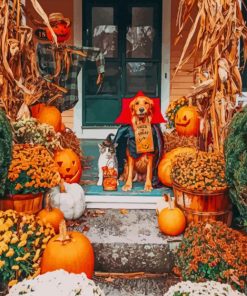 Halloween Decoration Pumpkin paint by numbers