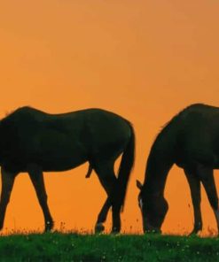 Horses Silhouette paint by number