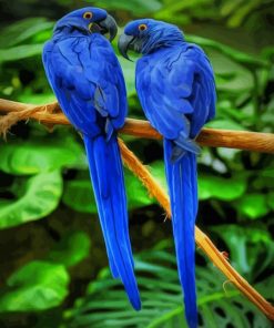 Hyacinth Macaw paint by numbers