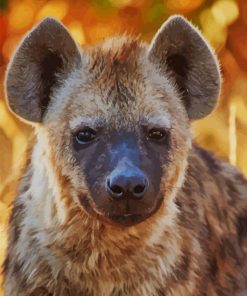 Hyenas Animal paint by numbers